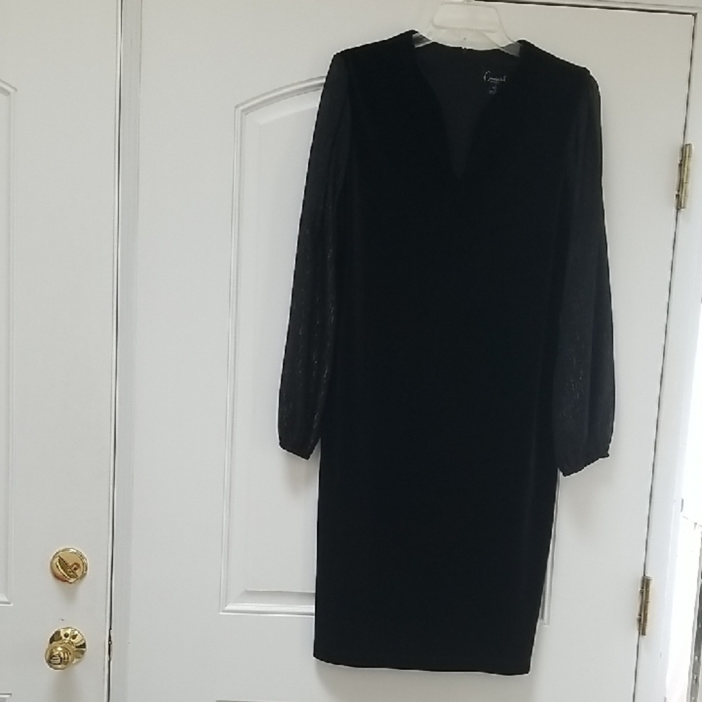 Black VelvetDress V-Neck Bishop Shimmery Sleeves